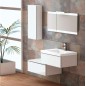 Meuble Suspendu Salle de Bain Duo 70 Meuble Suspendu Salle de Bain Duo 70