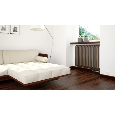 Radiateur Delfin horizontal