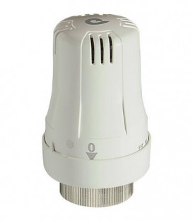 Tete thermostatique avec sonde