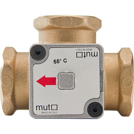 Vanne thermique TM3000 Température 50°C, 3/4"