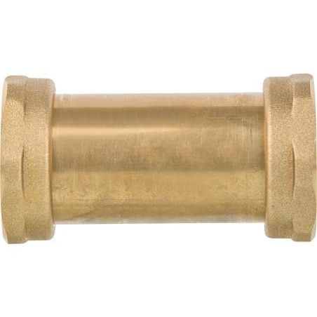 Termobac DB 40 double action anti-retour, Rp 11/2"