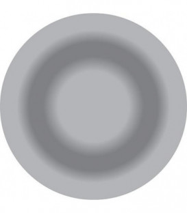 Gicleur Delavan 0,50/60°E