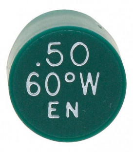 Gicleur Delavan 0,65/60°W