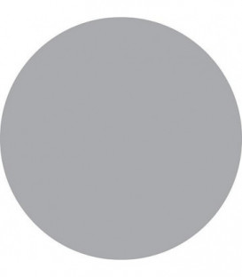 Gicleur Delavan 1,65/80°W