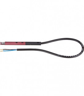 Detecteur de flamme QRB1B-C036B40A