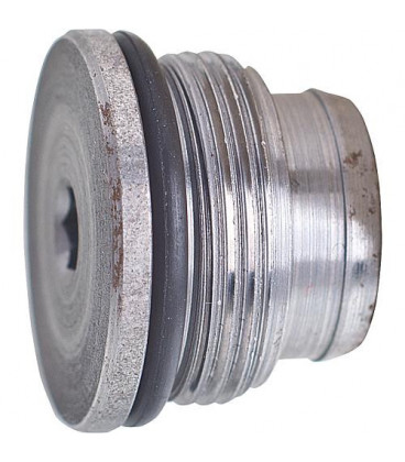 Bouchon pour BFP (filtre de cartouche)