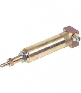 Verin hydraulique 3006499 (remplace 3005770)