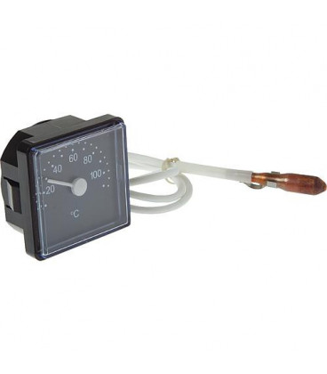 Thermometre 10-1542