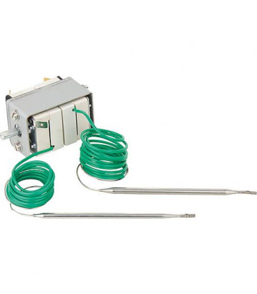 Thermostat double 0020132811 remplace 101713