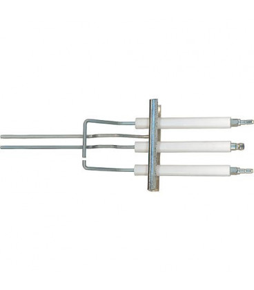 Bloc d electrode pour Viessmann 7250117
