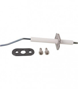 Electrode d'ionisation convient pour Vitodens a partir de 2003