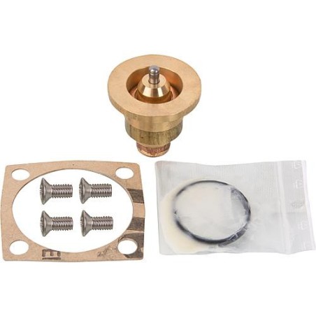 thermocouple convient pour ADV (et LK 821) joints inclus, 61°C