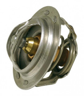 thermostat de rechange 45°C Pour vanne termo WS DN 40-50 avec joint