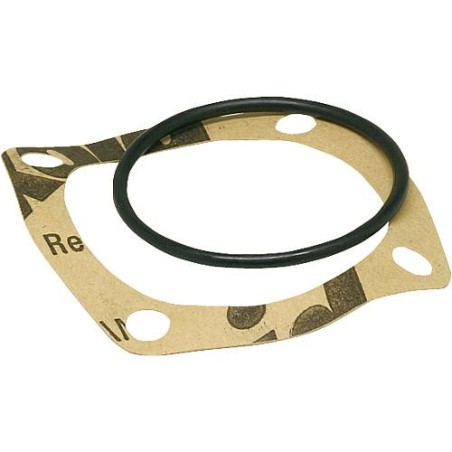 Thermostat de rechange 72°C Pour vanne termo WS DN 40-50 avec joint