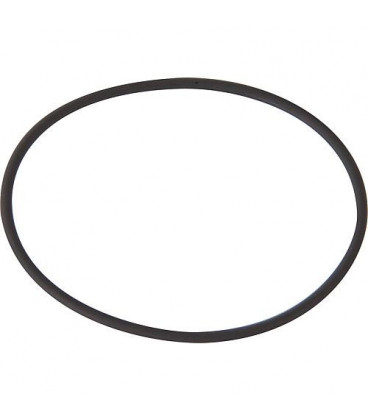 Joint torique pour pompe de circulation UNISTAR 2000-B (31 079 64) **BG**