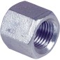 Bouchon V4A inox 1/8" EF 301 femelle
