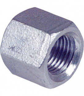 Bouchon V4A inox 1 1/4" EF 301 femelle