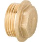 Bouchon laiton DN20 (2") male avec bord PN10