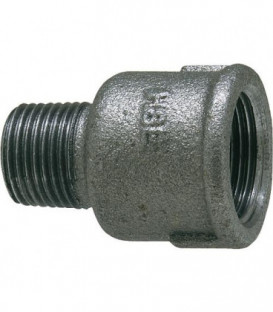 Raccord en fonte malleable, noir Manchon de reduction, 2" x 11/2" Type 246 (fem/male)
