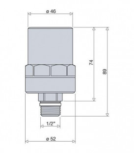 Amortisseur coup de belier 1/2" filetage mâle
