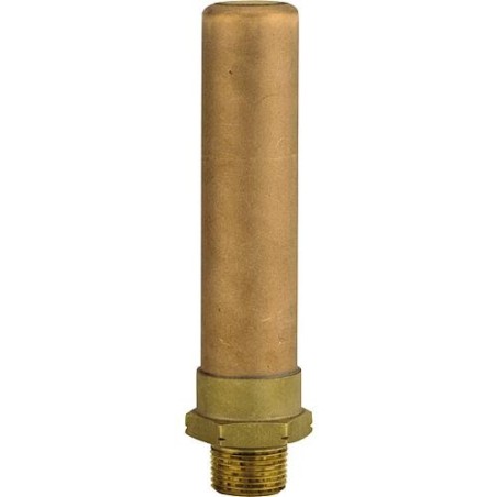 Watts:Anti beliers pneumatiques Raccord M2'' 50x60 serie 15