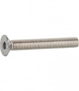 Vis à tête fraisée à six pans creux 6x40 A4 UE 200
