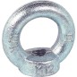Ecrou a anneau C15 M 8 comme DIN 582 / zingue