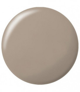 Silicone sanitaire 450 beige bahama, masse d´étanchéité haut de gamme à base de silicone 310ml