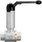 Robinet à bille en laiton TOTAL femelle/femelle 1 1/4" avec broche rallongée