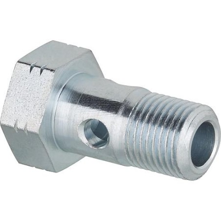 Vis creuse R 1/8"mâle pour flexible 10 mm bague