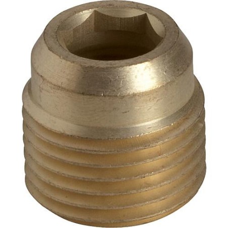 Reduction (filet mâle) convient pour Minisit 710 Ref. 0.974.074