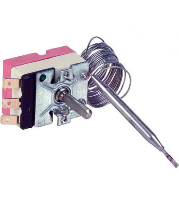EGO regulateur capillaire avec inverseur Capillaire 1730 mm, sonde6x73mm remplace RAK 51 **BG** sonde 6x73mm