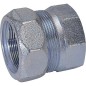 Bouchon de fermeture en fonte malleable Gaz PN 4, Eau PN 16, Type EK 1" (33,7)