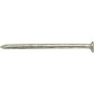 Clou, tête fraisée 2,8 x 65 mm acier galvanisE 1,0 KG