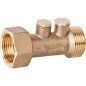 Clapet anti-retour WF Comp Watts Compact 58 mm, FxM 3/4"