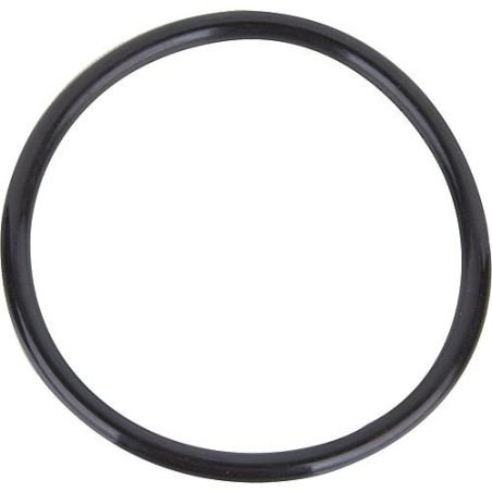 Joint torique Zehnder 95 x 6,8 pour pompes E-ZW