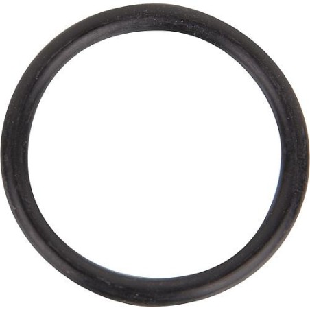 Joint torique Zehnder 26 x 3, NBR 70 pour pompes WX, HWX, EP/EPA