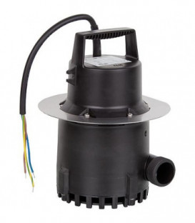 Pompe de rechange pour SWH - S 100 Viton