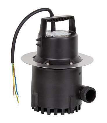 Pompe de rechange pour SWH - S 100 Viton