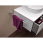 Porte serviette emco trend chromé, 2 bras orientable, 450 mm