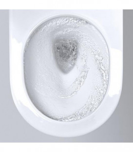 Douche-WC Grohe Sensia Arena