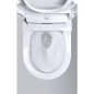 Douche-WC Grohe Sensia Arena