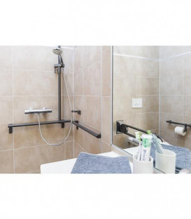 Main courante serie Cavere en alu, anthracite 95 750x750x1200, avec support douche et fix