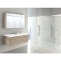 Kit de meuble de bain EPIC MBH meleze marron clair 4 tiroirs