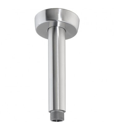 tube raccord plafond tete de douche DN15(1/2") L : 100mm inox inox poli