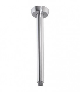 tube raccord plafond tete de douche DN15(1/2") L : 300mm inox inox poli