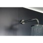 tube raccord mural tete de douche L : 500mm inox poli