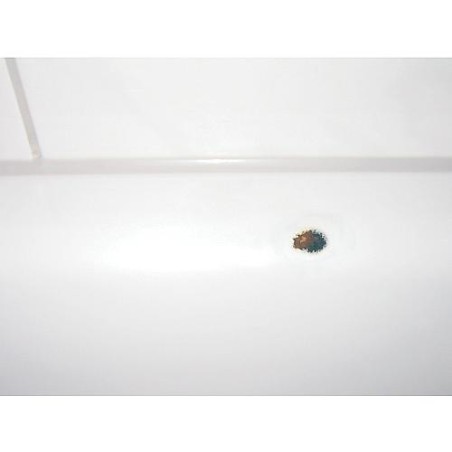 Kit email blanc accessoires : mastic 30 g, spatule durcisseur 8 g, spry email