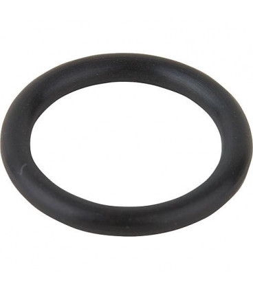 Joint torique Hansa diam. 15 x 2,5 mm 59910423