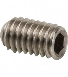 Vis sans tete Hansgrohe M6x10 96029000